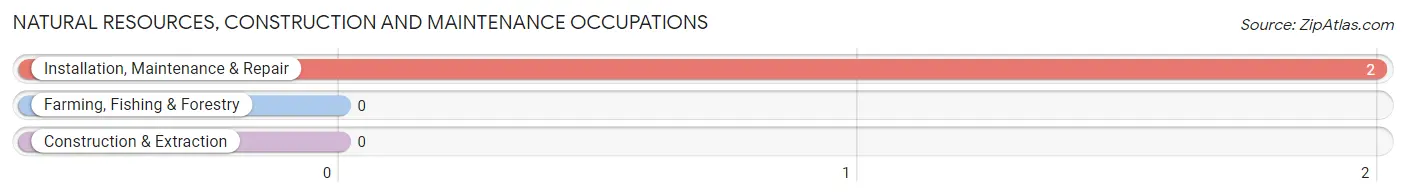 Natural Resources, Construction and Maintenance Occupations in Corinth