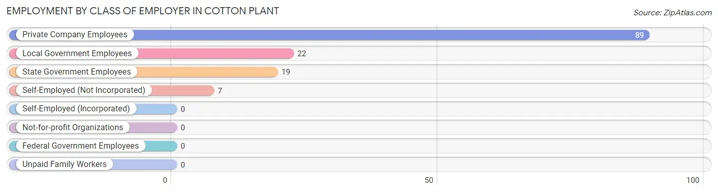 Employment by Class of Employer in Cotton Plant