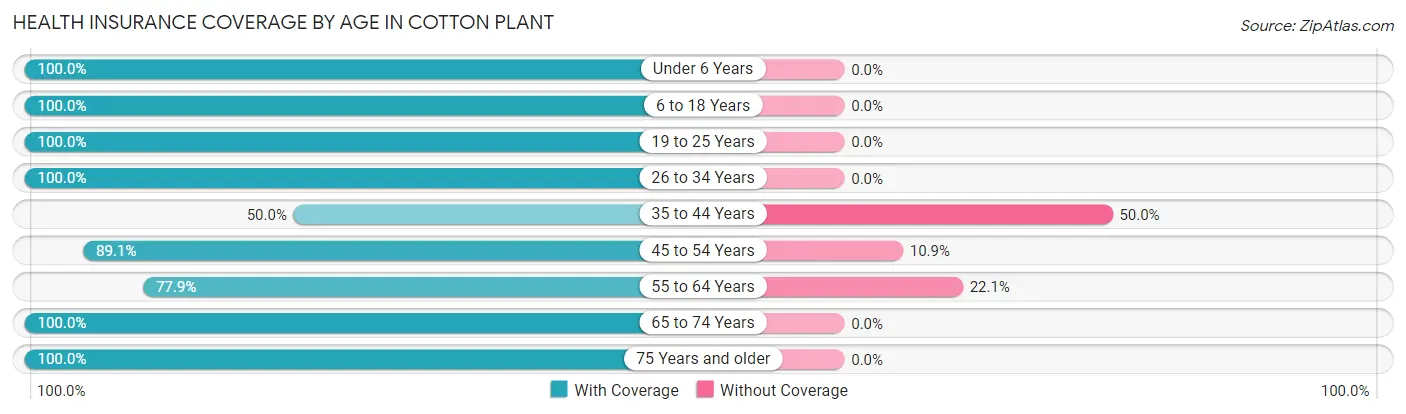 Health Insurance Coverage by Age in Cotton Plant