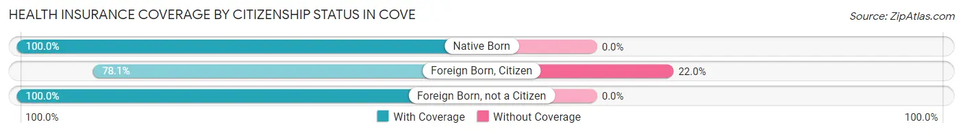 Health Insurance Coverage by Citizenship Status in Cove