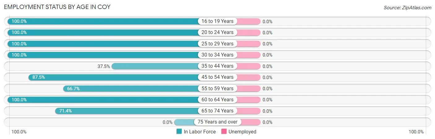 Employment Status by Age in Coy