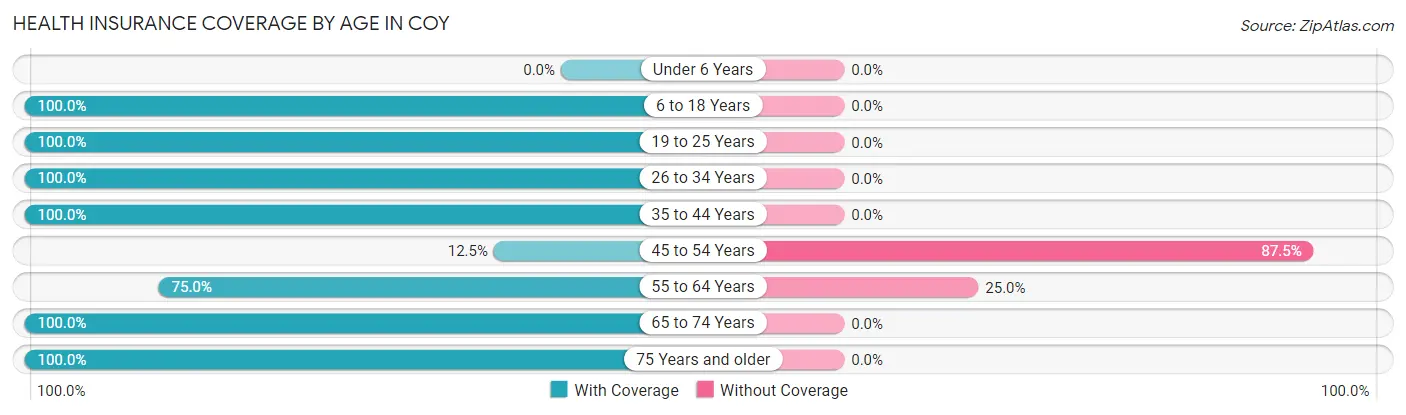 Health Insurance Coverage by Age in Coy