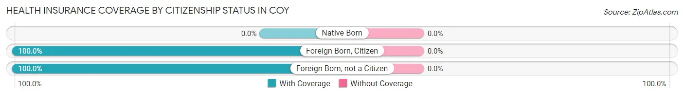 Health Insurance Coverage by Citizenship Status in Coy