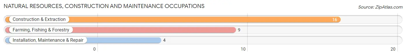 Natural Resources, Construction and Maintenance Occupations in Cushman