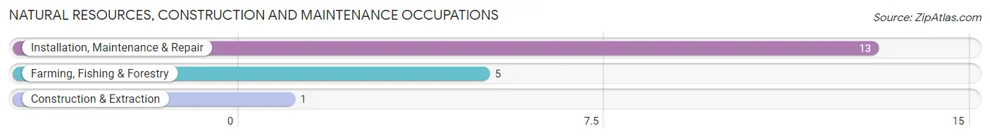 Natural Resources, Construction and Maintenance Occupations in Daisy