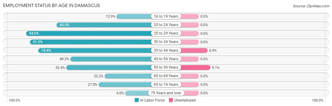 Employment Status by Age in Damascus