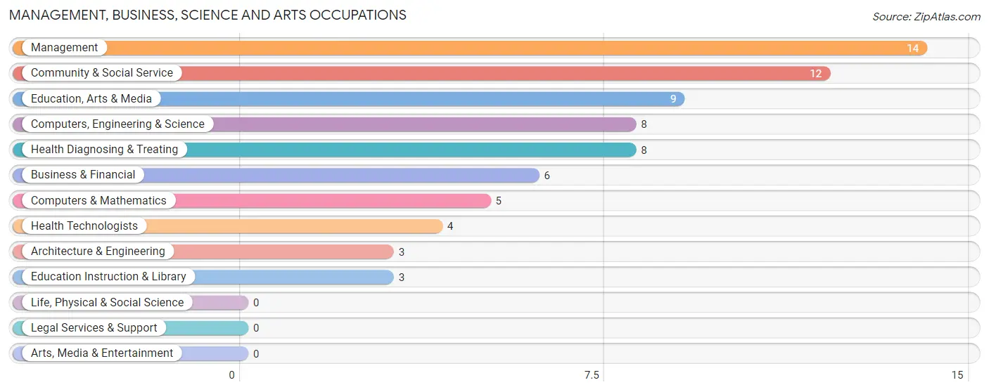 Management, Business, Science and Arts Occupations in Damascus