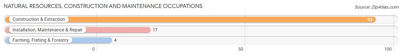 Natural Resources, Construction and Maintenance Occupations in Danville