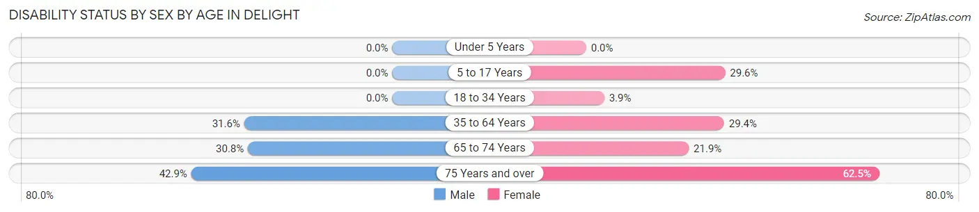 Disability Status by Sex by Age in Delight