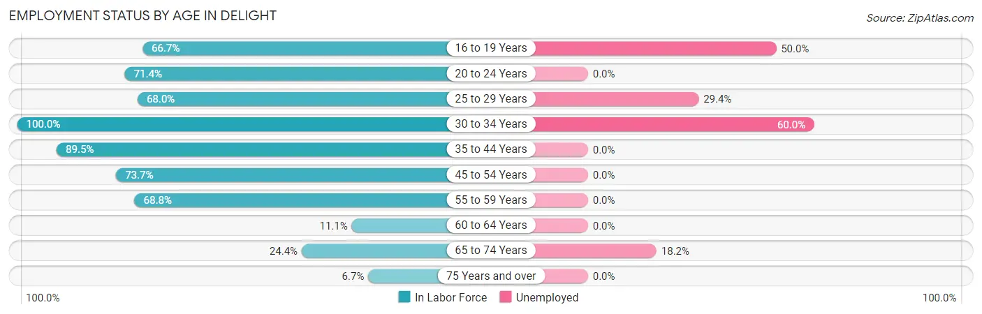 Employment Status by Age in Delight