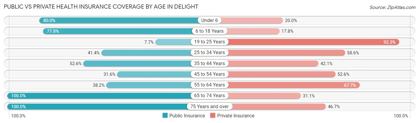 Public vs Private Health Insurance Coverage by Age in Delight