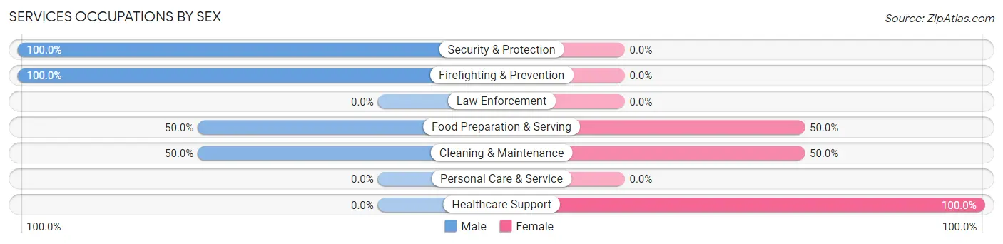 Services Occupations by Sex in Delight