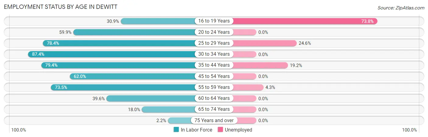 Employment Status by Age in DeWitt