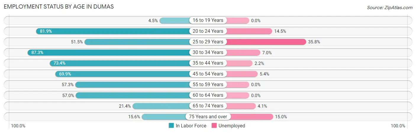 Employment Status by Age in Dumas