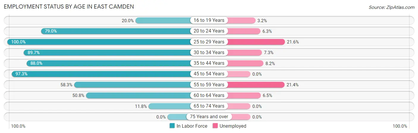 Employment Status by Age in East Camden