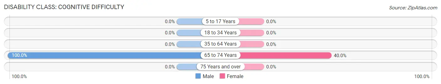 Disability in Egypt: <span>Cognitive Difficulty</span>