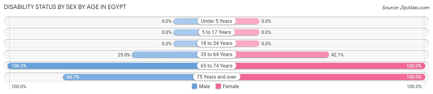 Disability Status by Sex by Age in Egypt