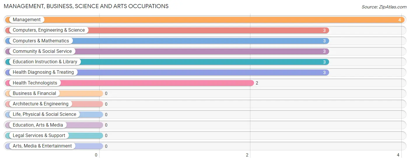 Management, Business, Science and Arts Occupations in Egypt