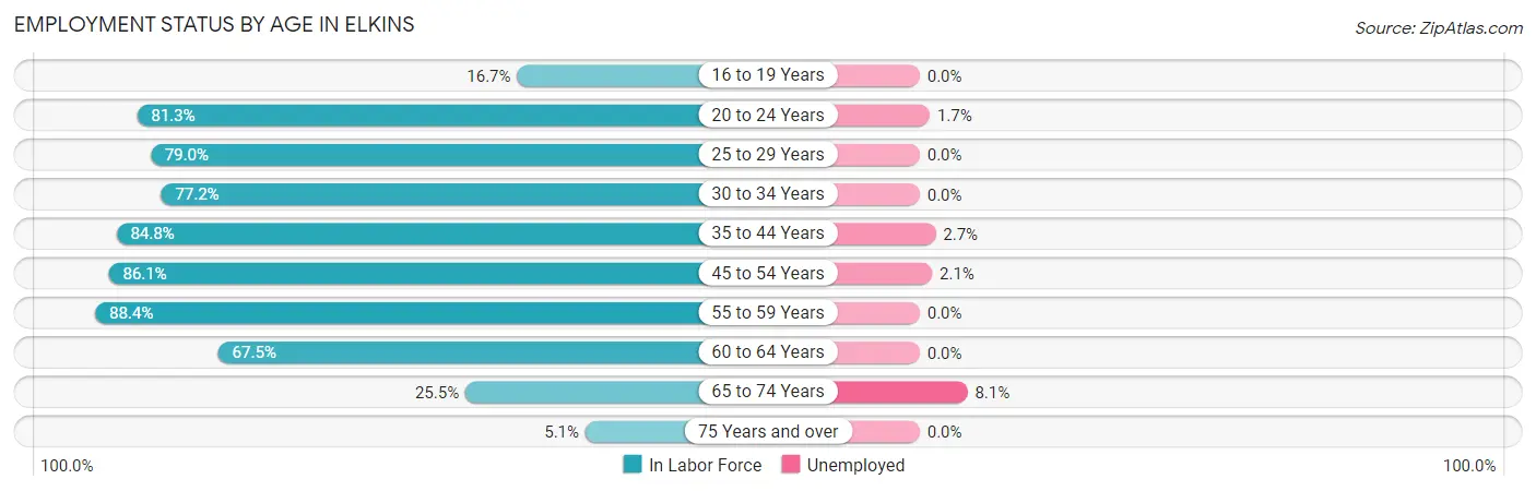 Employment Status by Age in Elkins