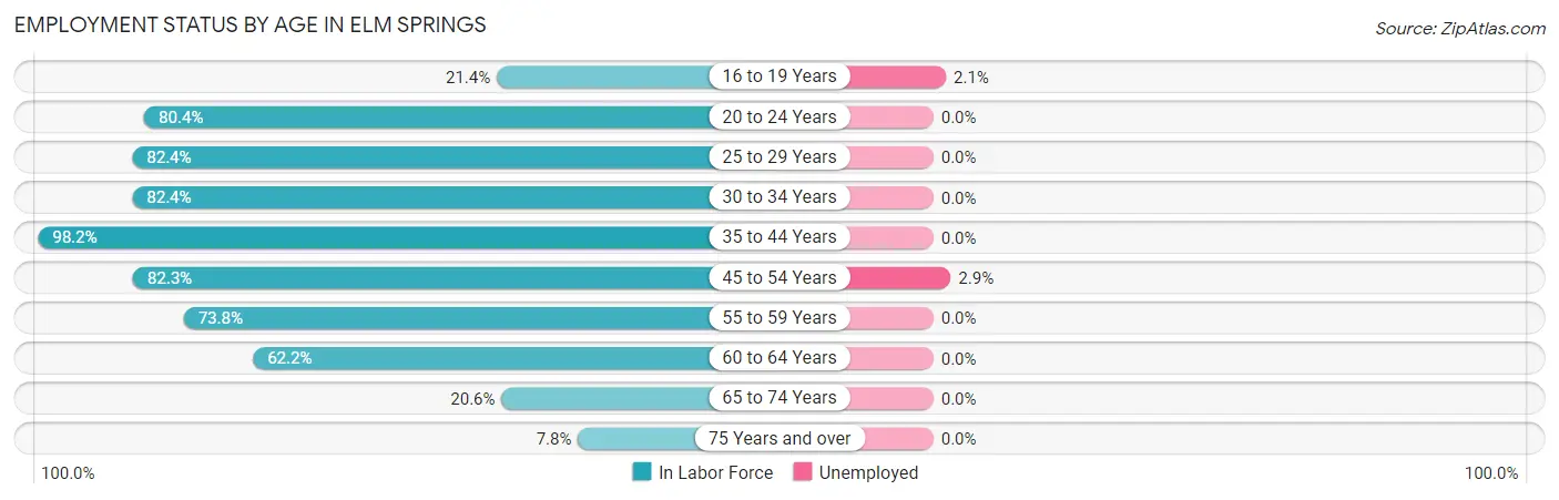 Employment Status by Age in Elm Springs