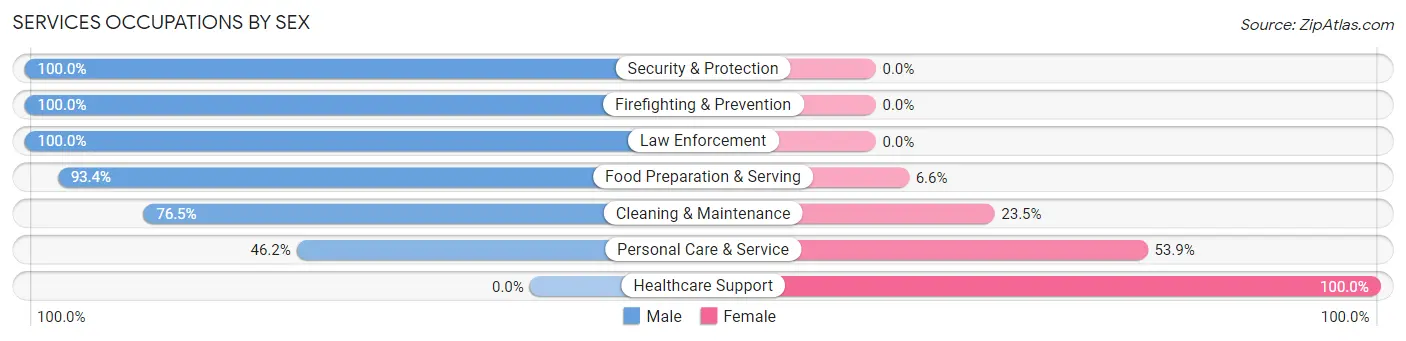 Services Occupations by Sex in Elm Springs