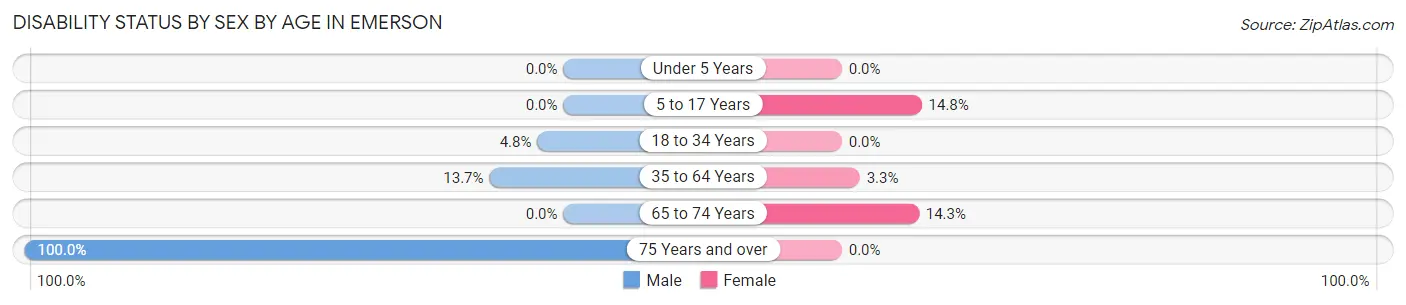 Disability Status by Sex by Age in Emerson