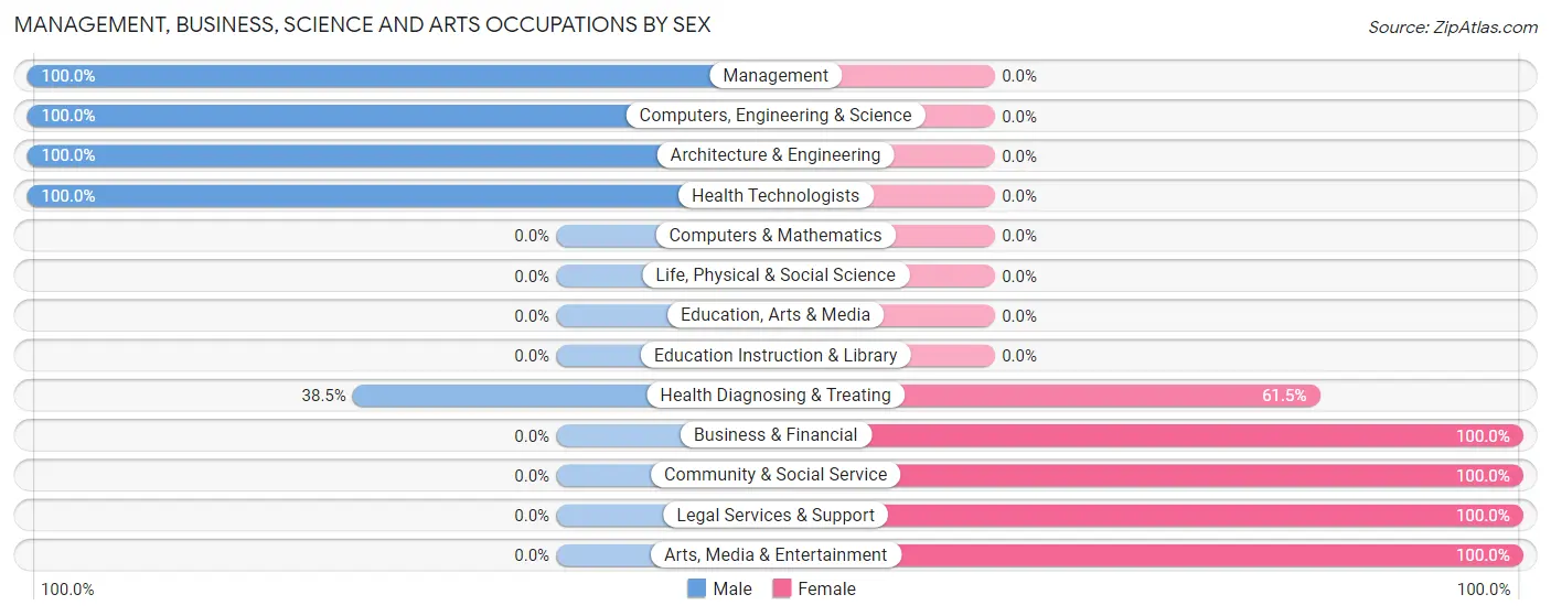 Management, Business, Science and Arts Occupations by Sex in Emerson