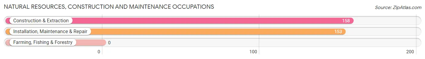 Natural Resources, Construction and Maintenance Occupations in Farmington