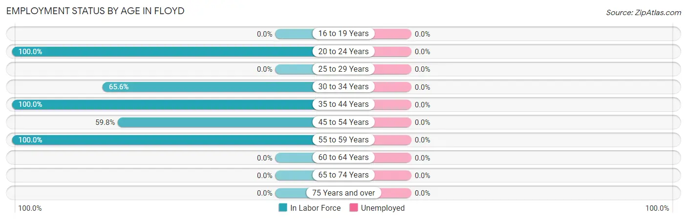 Employment Status by Age in Floyd