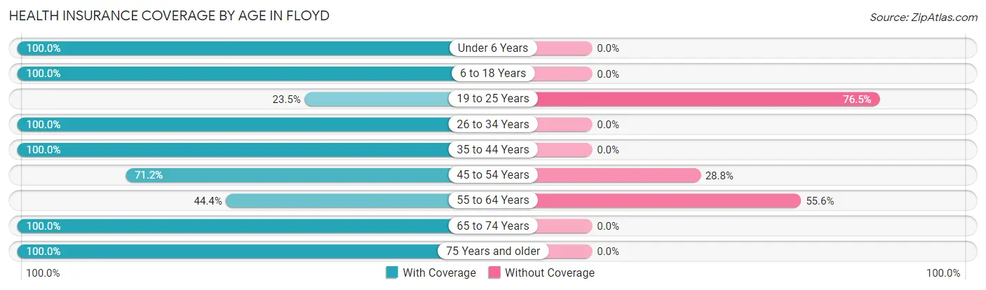Health Insurance Coverage by Age in Floyd