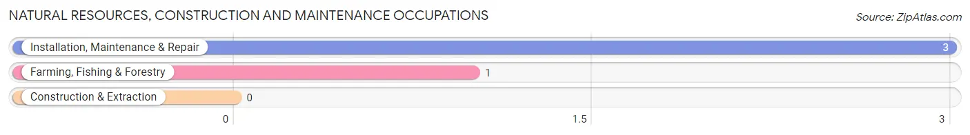 Natural Resources, Construction and Maintenance Occupations in Fountain Hill