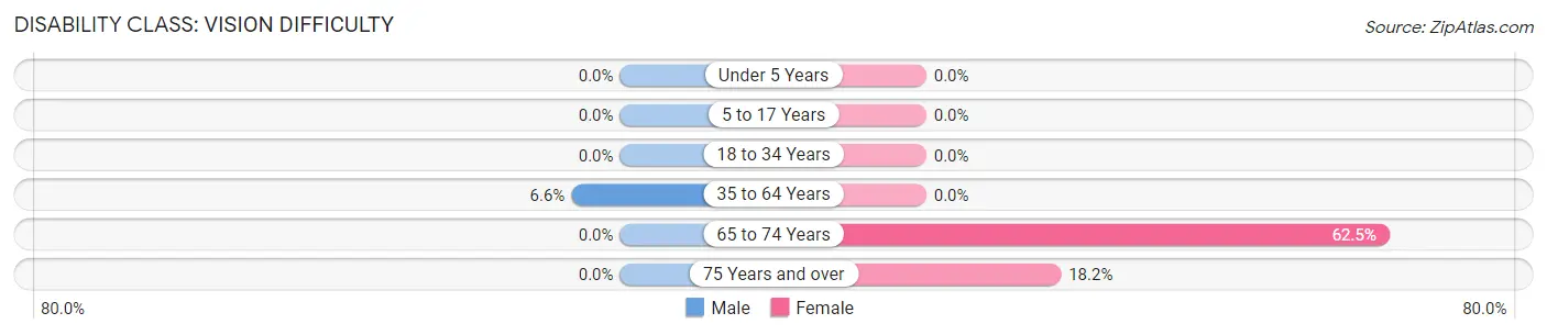 Disability in Garner: <span>Vision Difficulty</span>