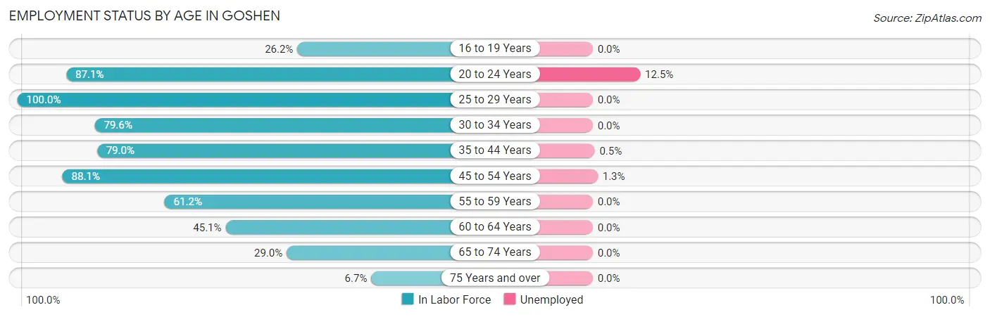 Employment Status by Age in Goshen