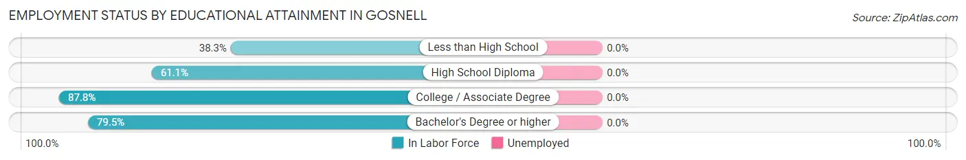 Employment Status by Educational Attainment in Gosnell
