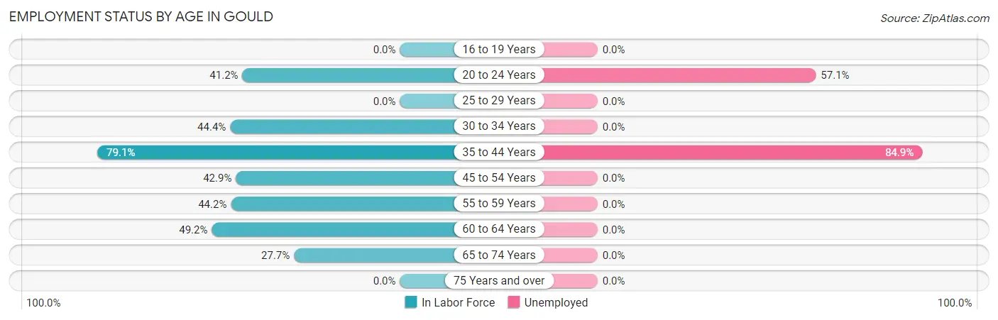 Employment Status by Age in Gould