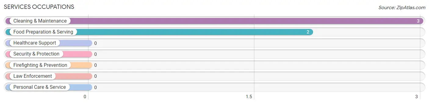 Services Occupations in Grubbs