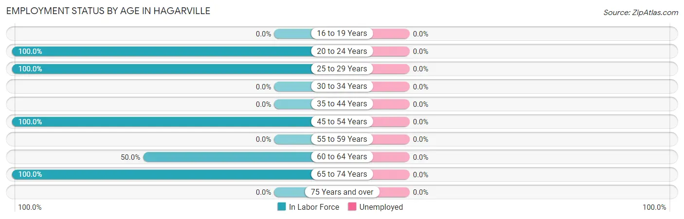 Employment Status by Age in Hagarville