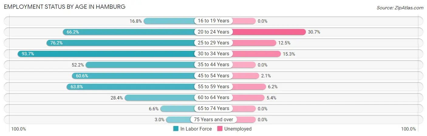 Employment Status by Age in Hamburg