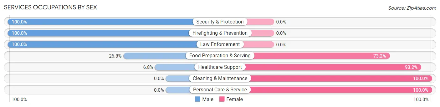 Services Occupations by Sex in Hamburg