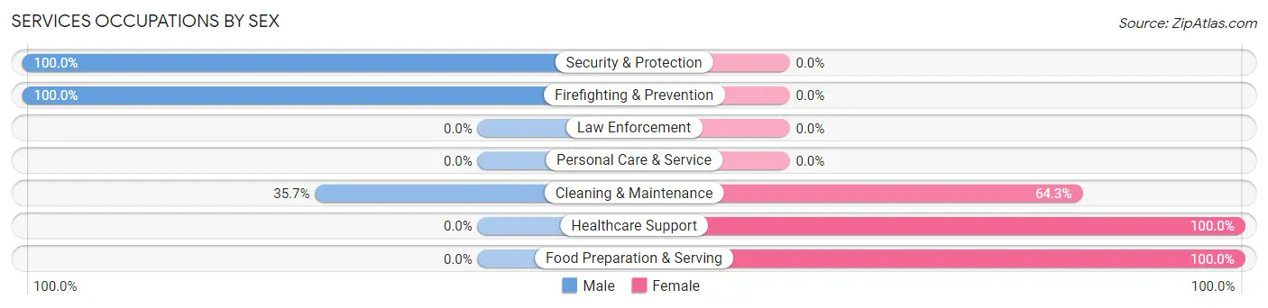 Services Occupations by Sex in Havana