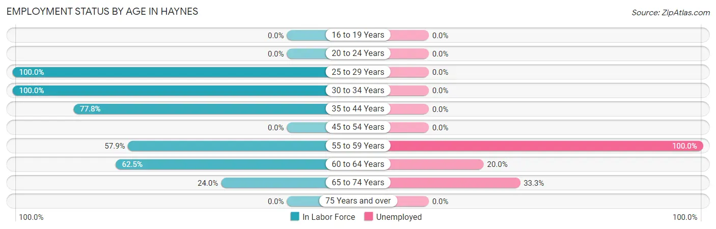 Employment Status by Age in Haynes