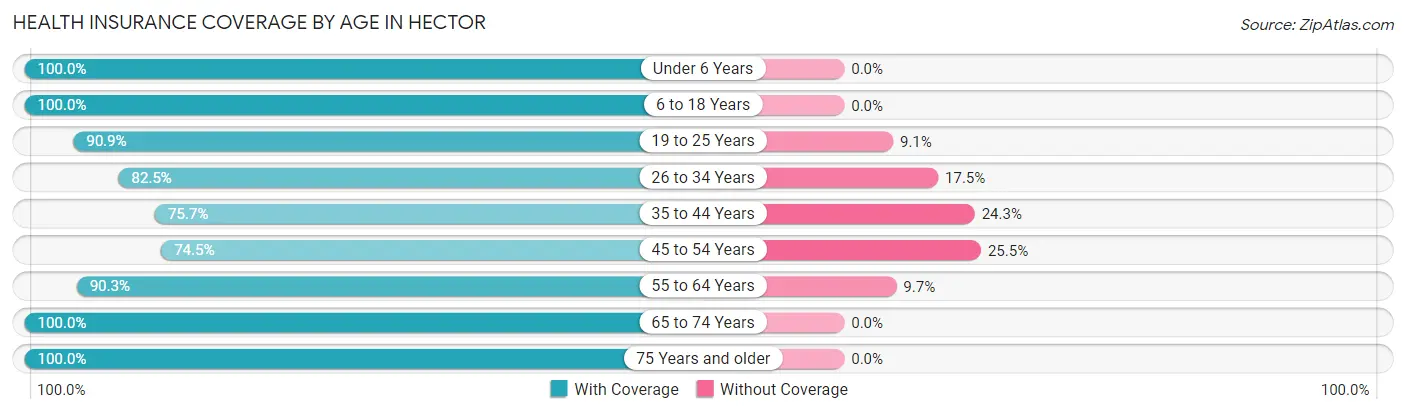 Health Insurance Coverage by Age in Hector