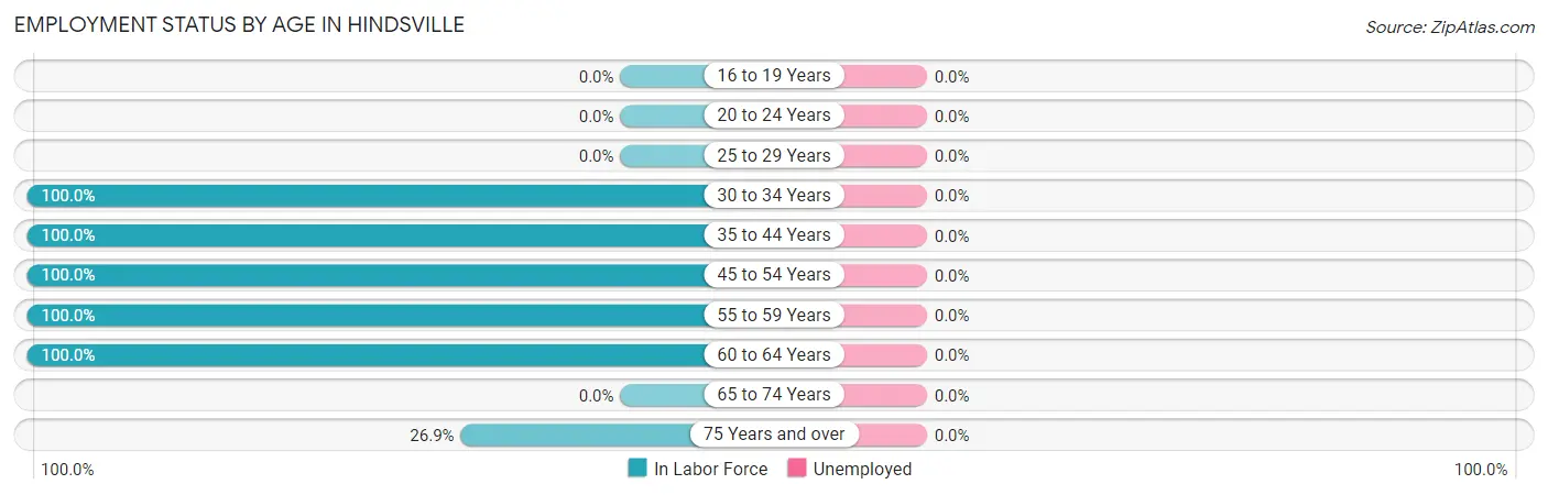 Employment Status by Age in Hindsville