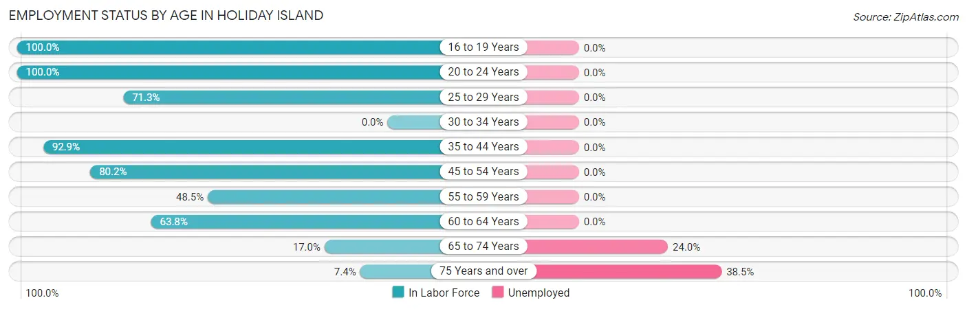Employment Status by Age in Holiday Island