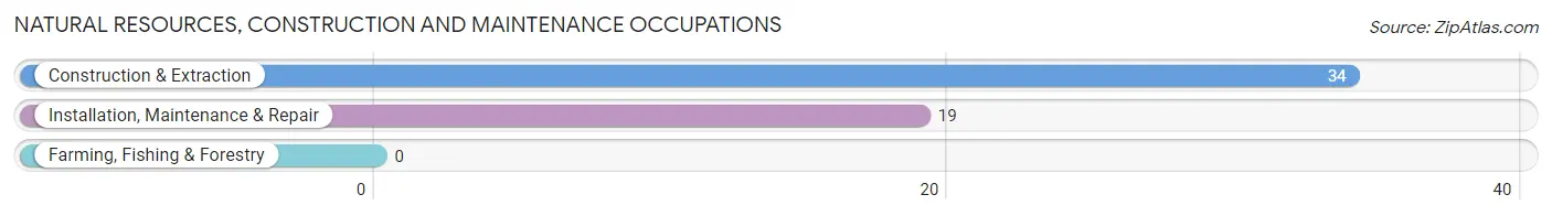 Natural Resources, Construction and Maintenance Occupations in Holland