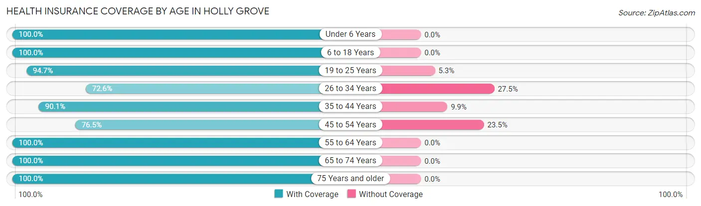 Health Insurance Coverage by Age in Holly Grove