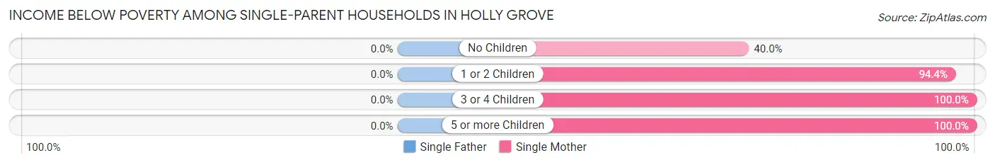Income Below Poverty Among Single-Parent Households in Holly Grove