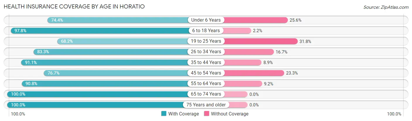 Health Insurance Coverage by Age in Horatio