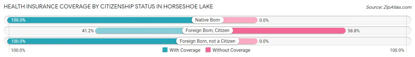 Health Insurance Coverage by Citizenship Status in Horseshoe Lake