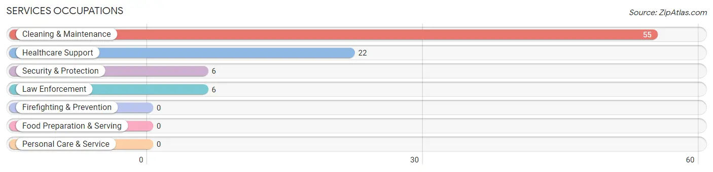 Services Occupations in Hughes